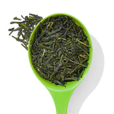 Organic Gyokuro Yamashiro Tea
